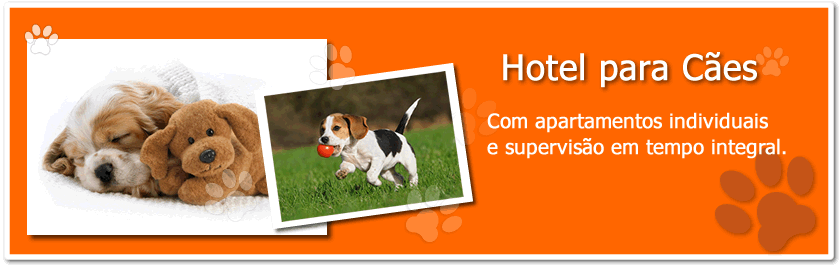 Dogcare - Hotel & Daycare em Campinas-SP